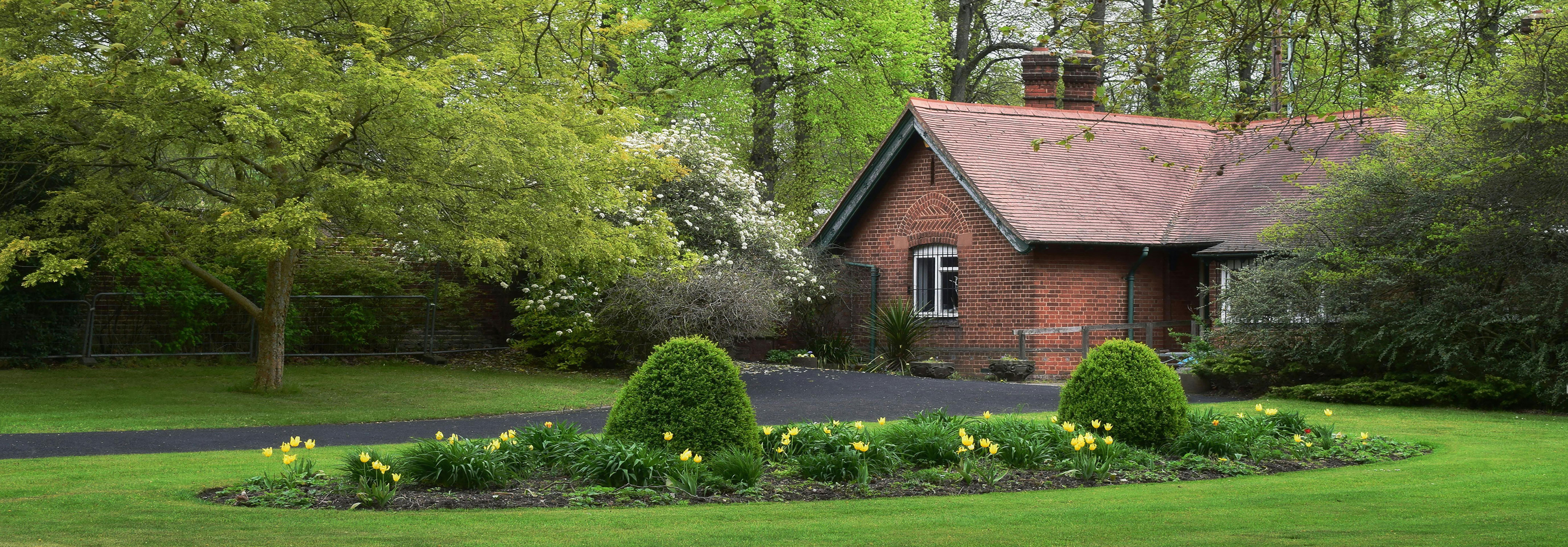 Sustainable Urban Garden with Native Plants